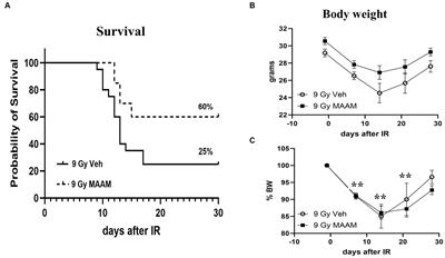 Effects of radiation mitigating amino acid mixture on mice of different sexes